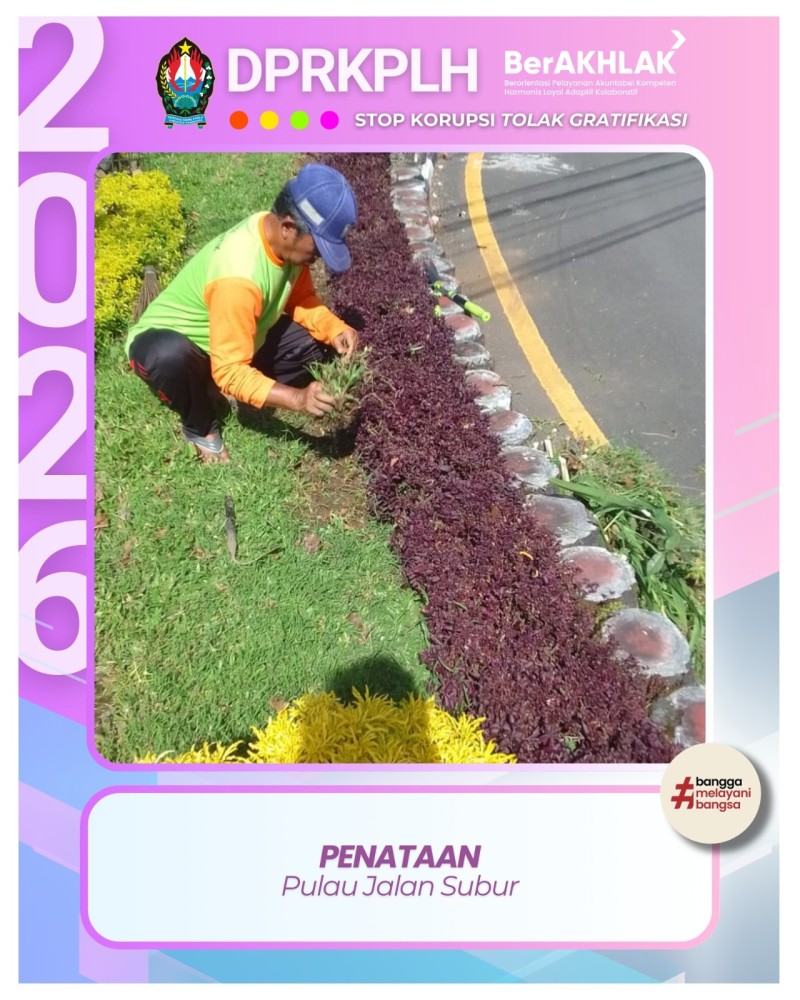 Jaga Kerapian Jalan, DPRKPLH Bersihkan Vegetasi Pulau Jalan Subur Temanggung